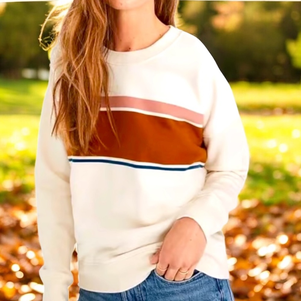Madewell Colorblock Stripe Sweatshirt Cream Brown Blue Size M‎